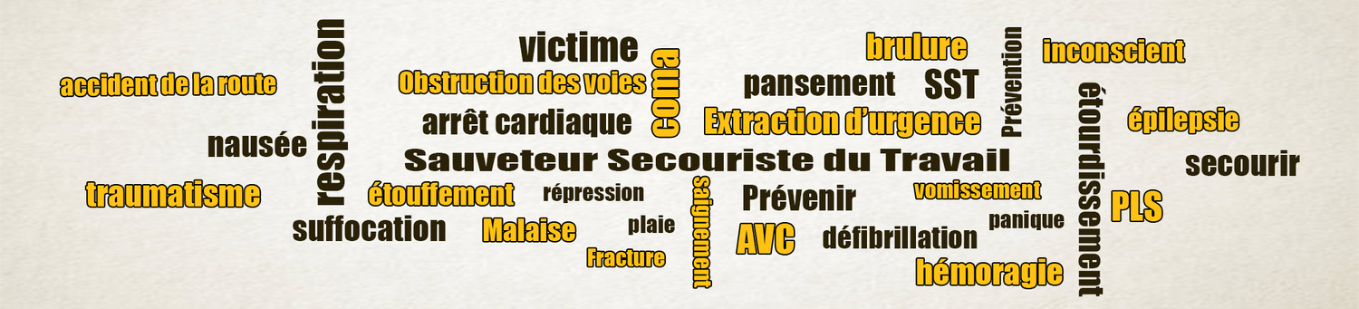 Bannière MS MC